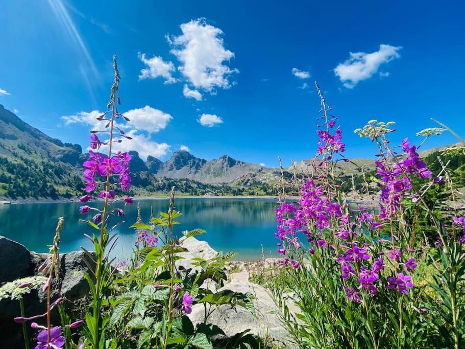 Studio De Charme Avec Vue Sur Le Val D'Allos, Parking Et Wifi Gratuit 외부 사진